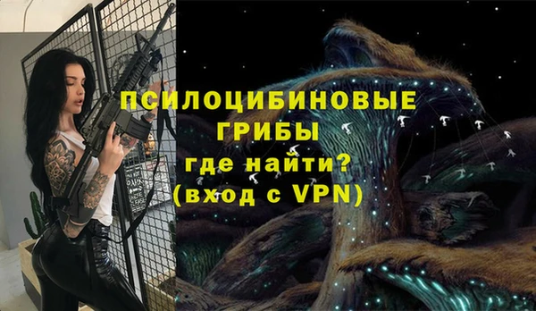 прущие крисы Магас