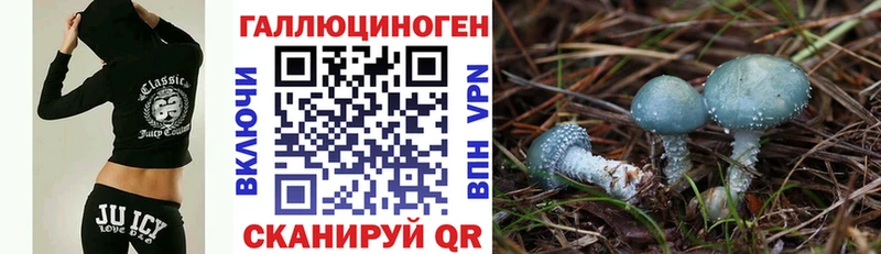 где купить наркоту  Нижнекамск  Псилоцибиновые грибы Psilocybine cubensis 